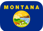 MT Flag